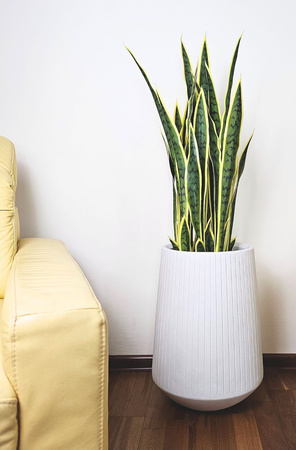 Donica ogrodowa Coro wys. 53x40 cm, czarna