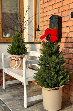 Choinka sztuczna w doniczce Świerk Aspen 140 cm 100% PE