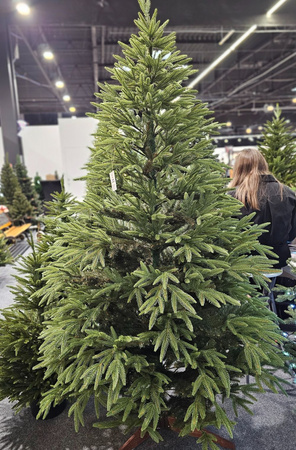 Choinka sztuczna ze stelażem Świerk Imperial 220 cm LIMITOWANA PE+PVC