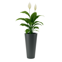 Donica wysoka okrągła Venus 70 bez półki, antracyt