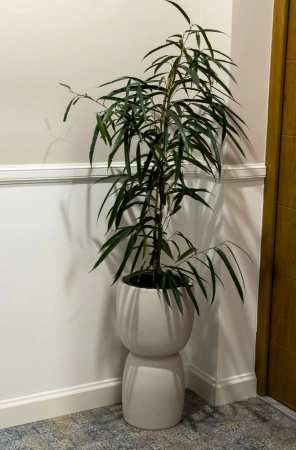 Donice ogrodowe Duala wys. 41, 54 i 70 cm, kremowe, zestaw