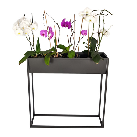 Prostokątny kwietnik Stella 80x80 cm czarny z wkładami