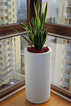 Okrągła podświetlana donica z włókna szklanego Tube 100 cm, antracyt