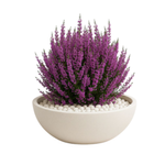 Donica okrągła Misa wys. 16x38 cm, kremowa