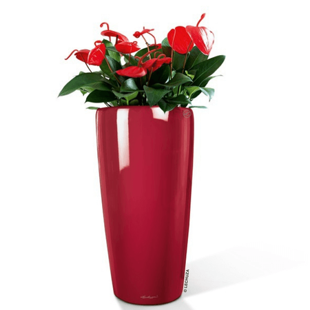 Donica wysoka okrągła Lechuza Rondo 56 cm, czerwona