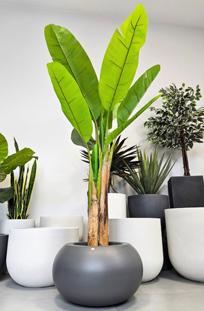 Sztuczna  roślina dekoracyjna - Bananowiec w doniczce wys. 160 cm