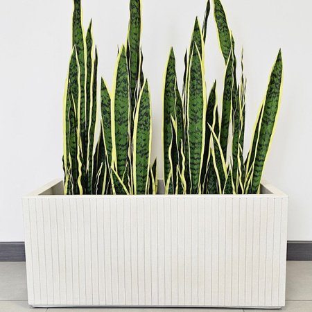 Sztuczna Sansewieria 92 cm, jasnozielona dekoracyjna w doniczce