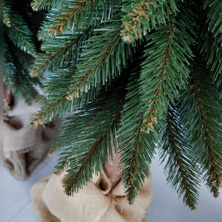 Choinka na pniu Świerk Górski 110 cm