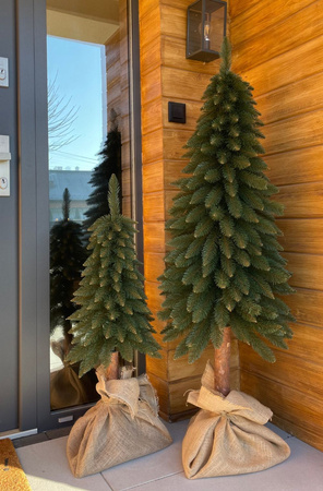 Choinka na pniu Świerk Górski 140 cm