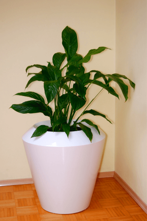 Duża donica okrągła Canico 45 cm z wkładem, antracyt