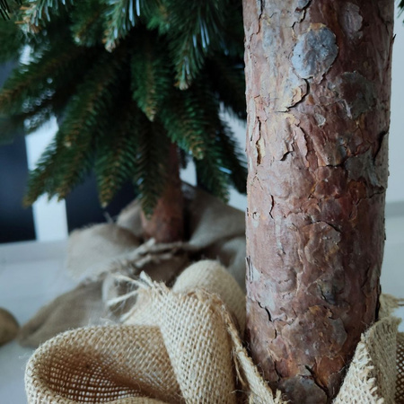 Choinka na pniu Świerk Górski 90, 110 i 140 cm, zestaw