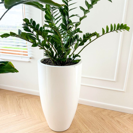 Wysoka donica okrągła z włókna szklanego Tulip wys. 62 cm średnica 32 cm, biała