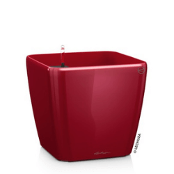 Niska doniczka kwadratowa Lechuza Quadro 26 cm, czerwona