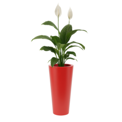 Donica wysoka okrągła Venus 70 z półką, czerwona