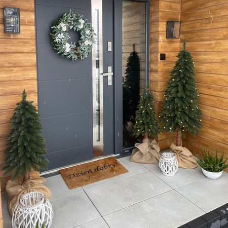 Choinka na pniu Świerk Górski 90, 110 i 140 cm, zestaw