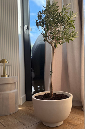 Donica na taras Vivo wys. 26 i 40 cm, kremowy, zestaw