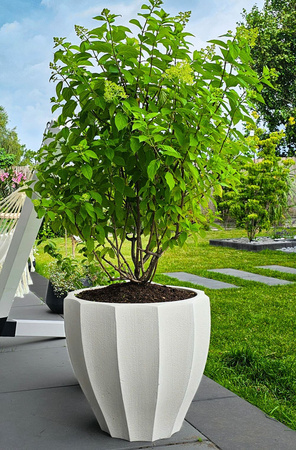 Donica ogrodowa Avia wys. 54x60 cm, kremowa