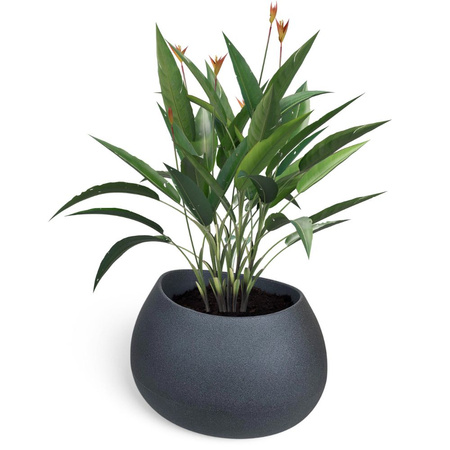 Donice ogrodowe Evolia Slim wys. 50x40 cm i Evolia wys. 36x60x50 cm, antracyt, zestaw
