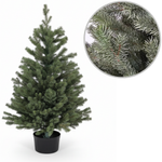 Choinka sztuczna w doniczce Świerk Royal 110 cm LIMITOWANA 100% PE