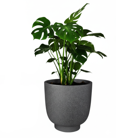 Donica na taras Vivo wys. 26 i 40 cm, antracyt, zestaw