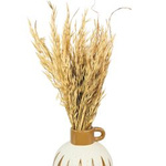 Bukiet suszonych roślin – Owies 60 cm naturalne kłosy