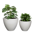 Donica do salonu Aria wys. 32 i 40 cm, kremowa, zestaw