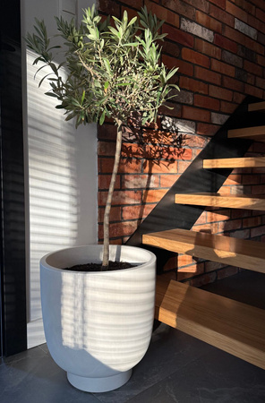 Donica na taras Vivo wys. 26 i 40 cm, kremowy, zestaw