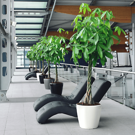 Okragła doniczka Lechuza Classico 46 cm, antracyt