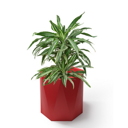 Geometryczna duża donica Ceres 30 cm, czerwona