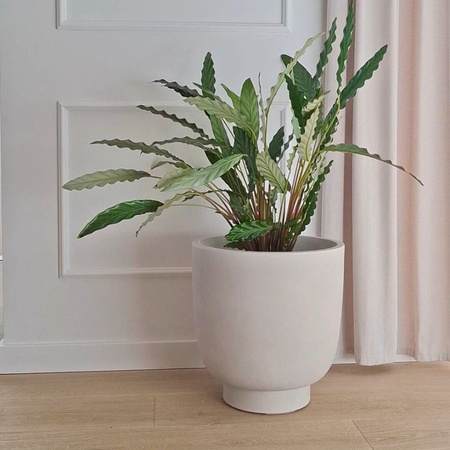 Donica na taras Vivo wys. 40x40 cm, kremowy