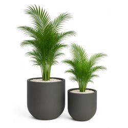 Donica ogrodowa Fero wys. 40 i 48 cm, antracyt, zestaw