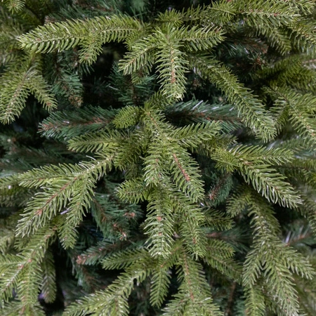 Choinka sztuczna ze stelażem Świerk Aspen 250 cm PE+PVC