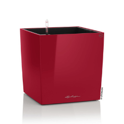 Kwadratowa donica Lechuza Cube Premium 50 cm, czerwona