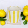 Doniczka ceramiczna w paski żółta Vanity Lemon wys.19x20 cm