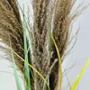 Sztuczna trawa pampasowa naturalna brązowa wys. 120 cm